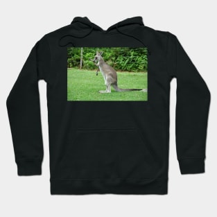 Australie - Newcastle, Kangourou Hoodie